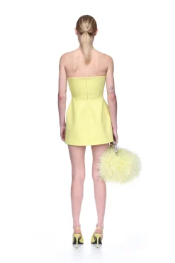 CRYSTAL SWALLOW MINI DRESS